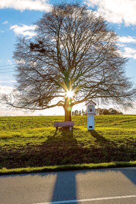 Thumbnail: 02_JA_1838 Flurbereinigung.jpg